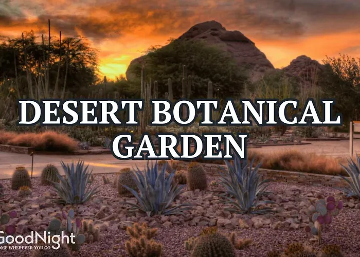 Sunrise Vista-walk To Downtown Old Town & Bars! Holiday home Scottsdale