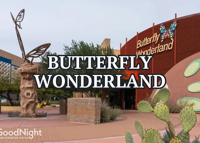 Holiday home Sunrise Vista-walk To Downtown Old Town & Bars! Scottsdale